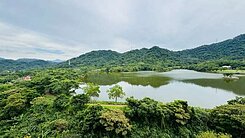 專約/大溪頭寮/湖光山色/超級大1房平面車位