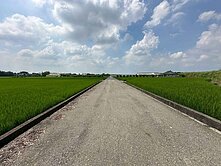 斗南五間厝農地！ㄚ嬤的農地～