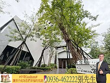 🅰️新光特區新光國中正對面大毅質感裝潢三房雙平車