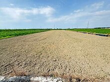 善化大同國小方正美農地