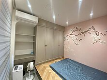 青埔國都苑 百萬裝潢 露台戶2房車