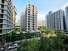 新光學區｜青上森｜採光三房平車樹梢戶