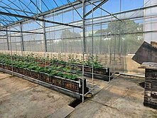 花壇近74溫室農場(A)