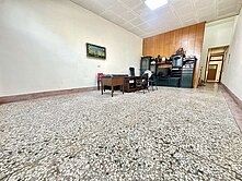 大忠國小稀有大地坪邊間孝親美透天