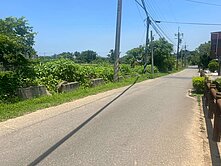 近月桃路山東國小~方正795坪農地