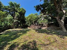 承義佩樺｜通霄社區形地貌漂亮美農地