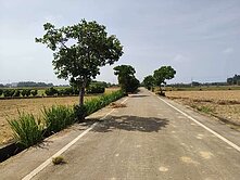 大坡國中.富岡超優值美農地