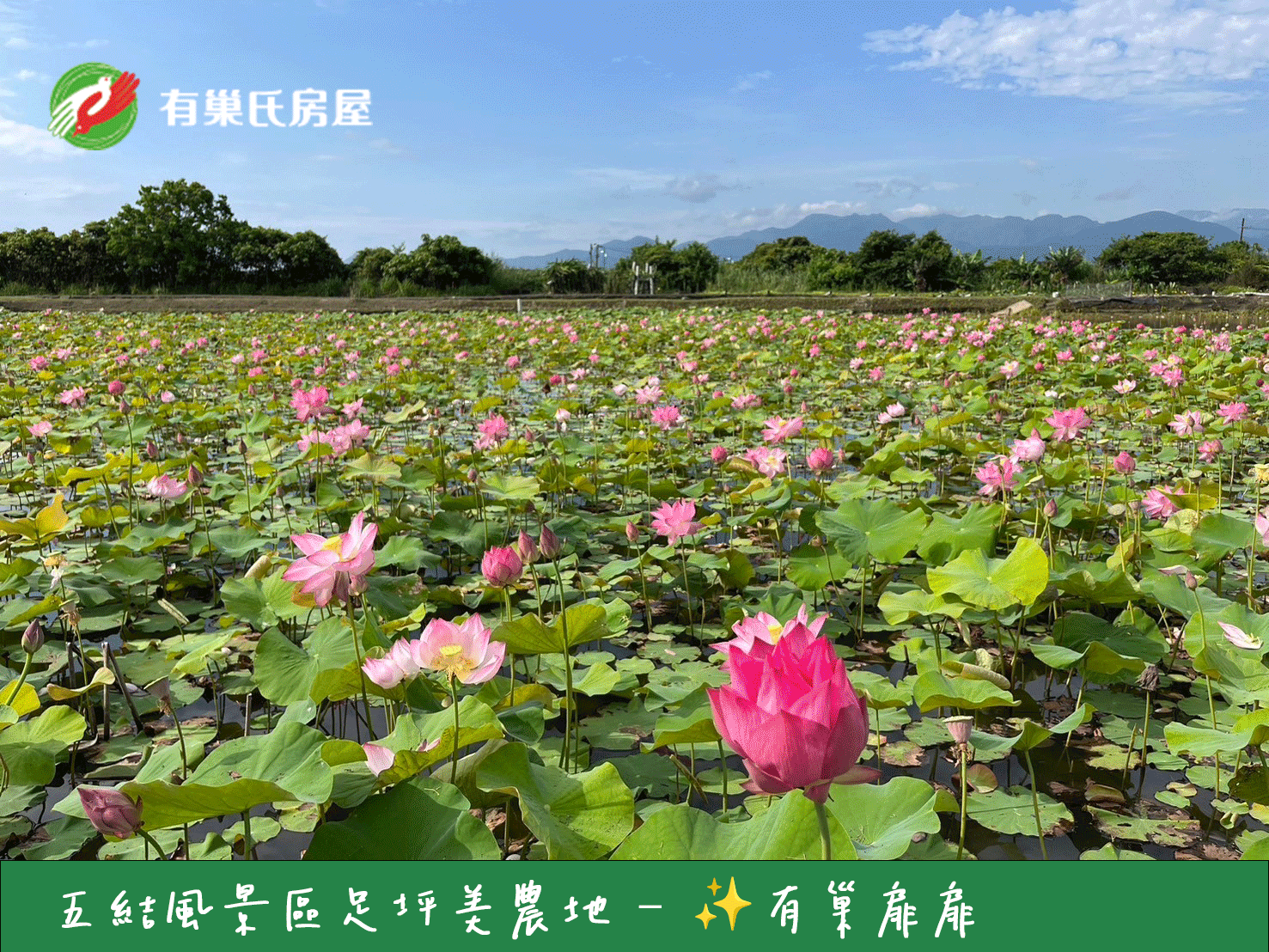 五結風景區足坪美農地 - ❤️愛的團隊✨有巢扉扉