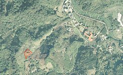 新社｜抽藤坑農業區｜景觀休閒農地