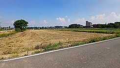 正月桃路前後臨路農地601