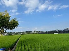 竹北｜麻園美農地（出價談）