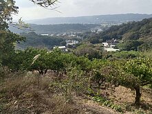 新埔｜城市農夫．休閒農地（超值）