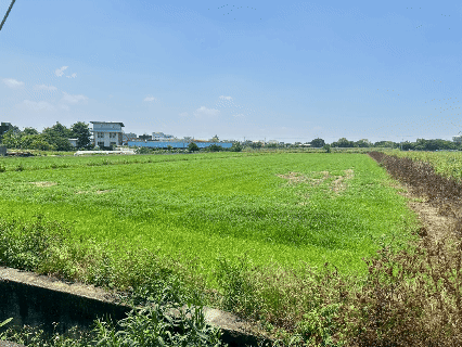 嘉義義竹🌾都市計畫內農地📍