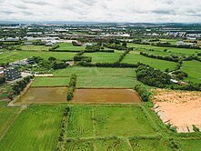 118新屋青田路美田