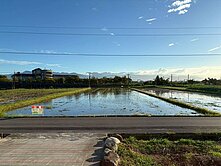 壯圍新南段大面寬雙面臨路足坪美農地❤️