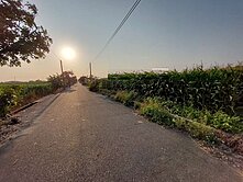 台南西港15米大面寬臨路農地