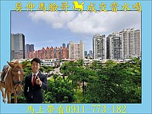 亞洲新灣區︱公園樹海第一排︱太普D&G三房平車