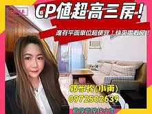 榮總霞海生活圈｜山藝術高樓層｜三房大平車採光佳