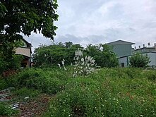 高樹鄉田子村鄉村乙種建地