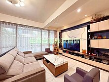 台邦富世通五套房雙車孝親豪墅