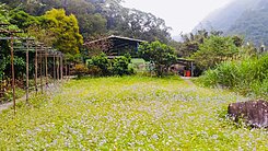 專任~新店廣興田園樂