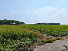 雲林土庫崙內段漂亮農地