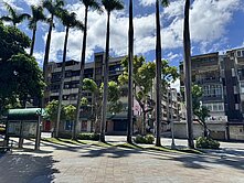 捷運六張犁❤️大安國小面公園一樓(地上權)