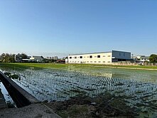 《獨家》便宜大里段方正農地