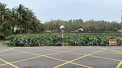 旗山區黃金臨大馬路優質特農地