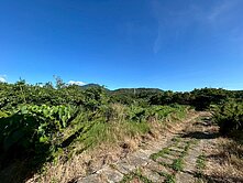 淡海新市鎮二期/北投子農地0936256079鄭S