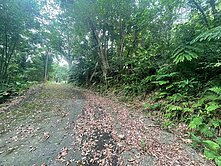 💖近大溪市區🌳🌳自然芬多精養生農舍🍎🍎