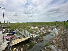 朴子牛挑灣埤生態園區旁方正農地