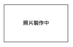 精選屏東萬丹【近88快速道路】農地