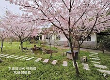 永慶宸吉🐵坪林水德山莊櫻花林