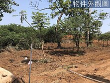 Q126下圭柔山好地段臨路優質農地