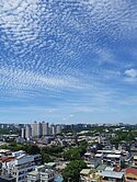 中科東海陽明三房高樓