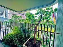 邦尼🌼南興公園旁｜精銳嚮未來三房平車樹梢戶