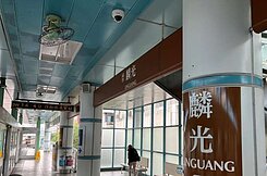 麟光捷運亮麗黃金3樓洽:0917629799彭小姐