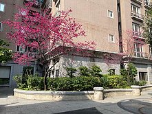 ~獨家專賣~中壢法國賞~溫馨美3房