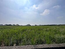 親友專任~彰化交流道特定計畫區旁~臨路方正便宜農地