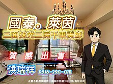 正東區【國泰萊茵】採光明亮邊間大3房平面車位寓