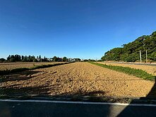 近湖口車站美農地