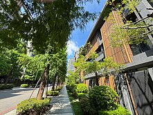 單元二落雨松林朝南臨路電梯豪墅