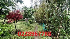 ❤️陽明山休閒渡假農地~洽0228967788