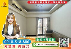 精選物件-桃園站前寶佳利套房車 ~屋況佳