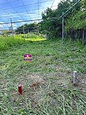 明興路有水電路88坪都內農地D (南區明興路)