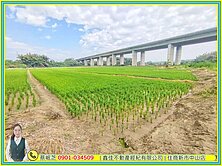 官田青翠美景都內農地