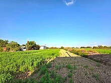 🏠住好佳🏠桃園航空城農地