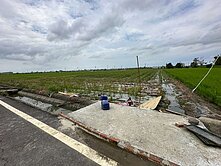 【朴子牛挑灣埤】生態園區旁方正農地