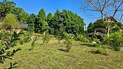 橫山沙坑國小旁社區型農地